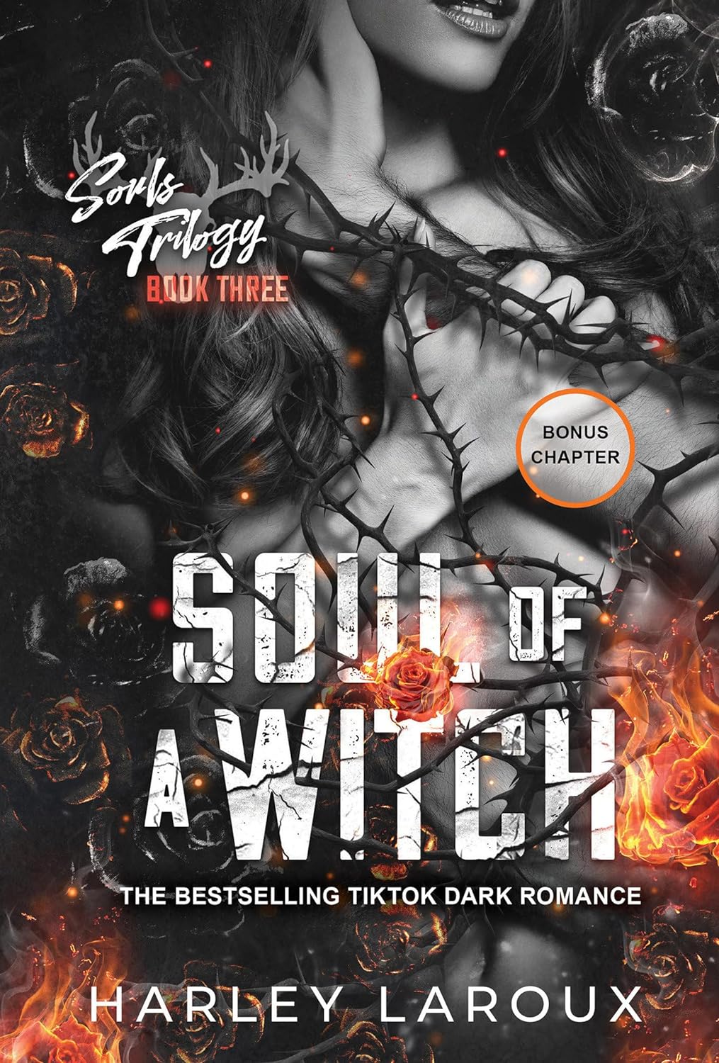 Soul of a Witch: A Spicy Dark Demon Romance (Souls Trilogy) - Corrections Bookstore