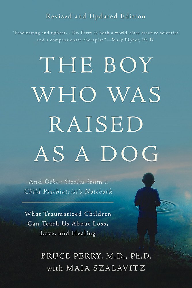 The Boy Who Was Raised as a Dog: And Other Stories from a Child Psychiatrist's Notebook -- What Traumatized Children Can Teach Us about Loss, Love, and (R (3RD ed.) - Corrections Bookstore