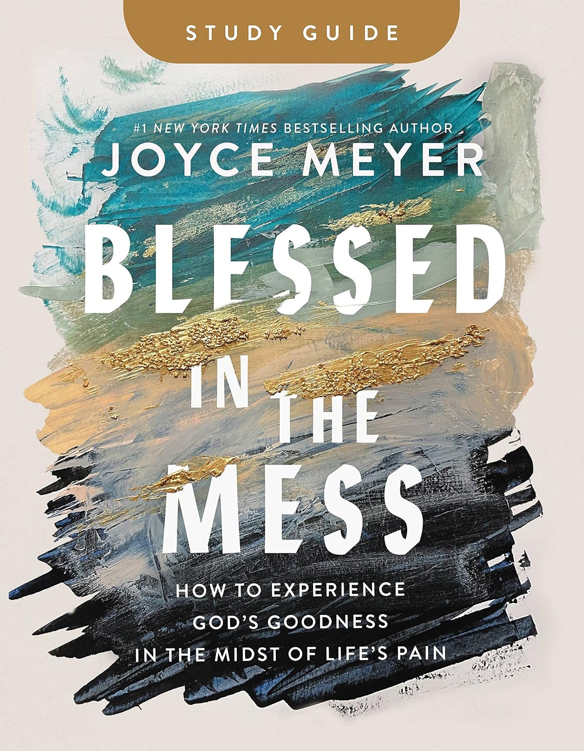 Blessed in the Mess Study Guide How to Experience God's Goodness in the Midst of Life's Pain - Corrections Bookstore